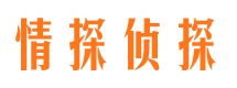 罗定外遇出轨调查取证